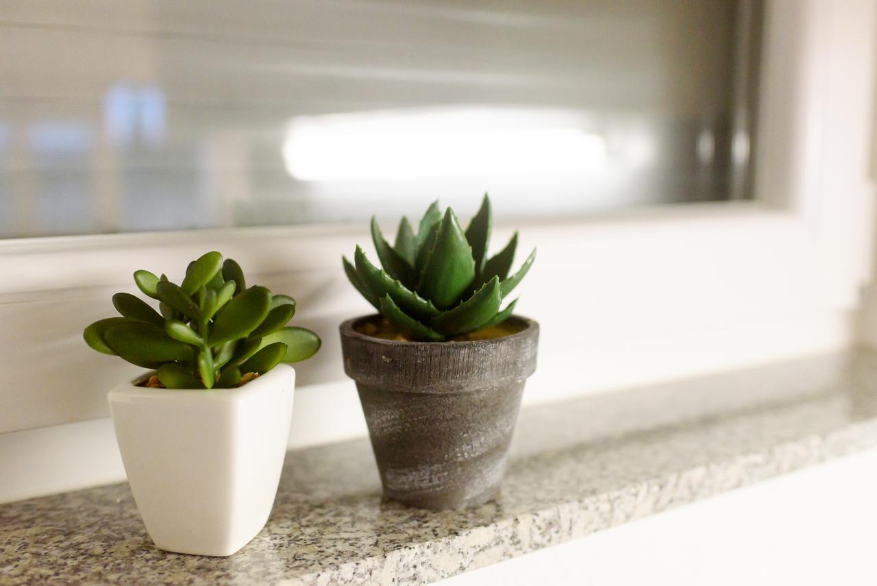 Apartmani Orhideja Gornji Karin Ngoại thất bức ảnh
